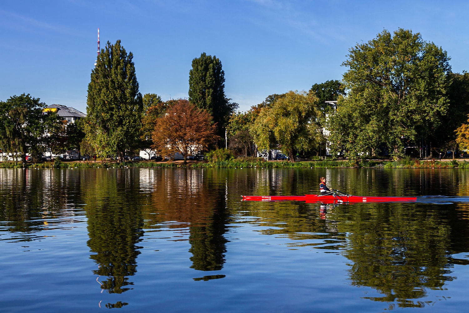 Skullen