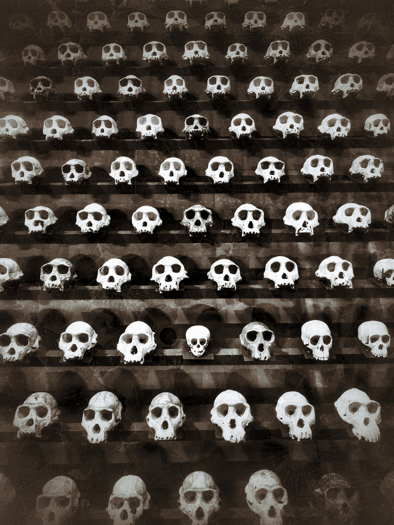 SKULLS