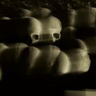 SKULLS - Augusto De Luca 6