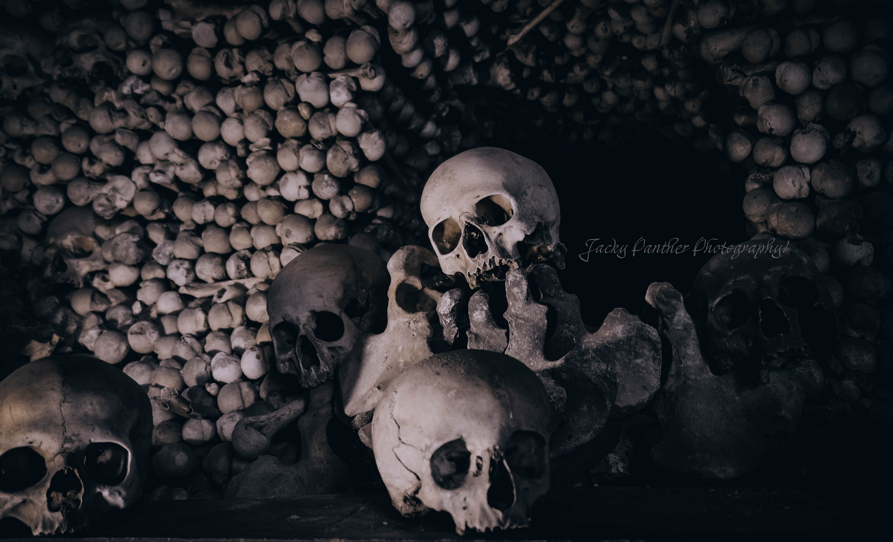 Skulls