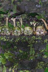 Skulls in Trunyan cementry