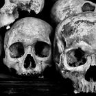 Skulls of Cambodia S-21