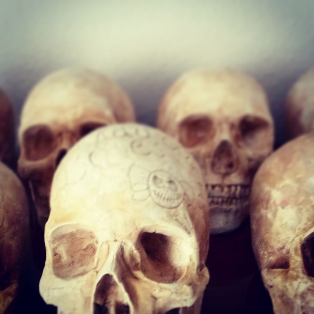 Skulls Pathological Factory