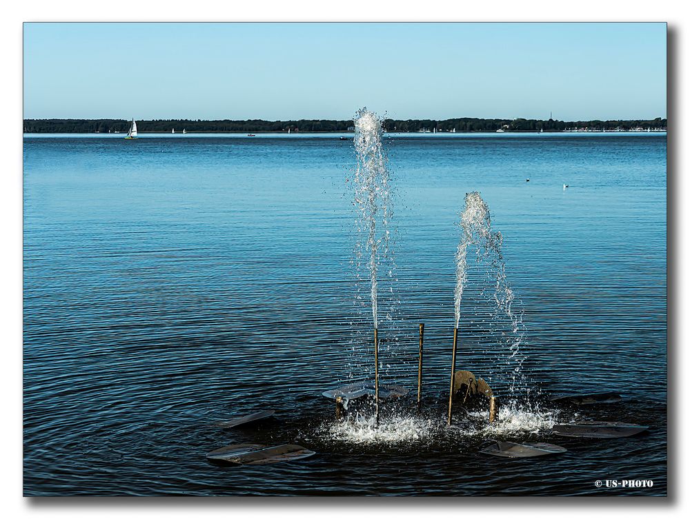 Skulptur am Steinhuder Meer