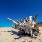 Skulptur am Strand