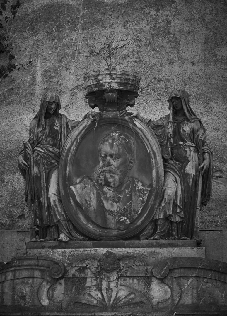 30+ Kleine Bäumchen Für Friedhof, Diese pflanzen bieten nicht nur