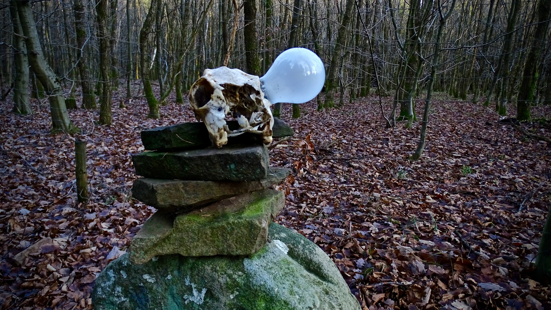 Skulptur Augenlicht