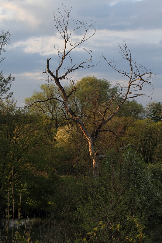 - Skulptur -