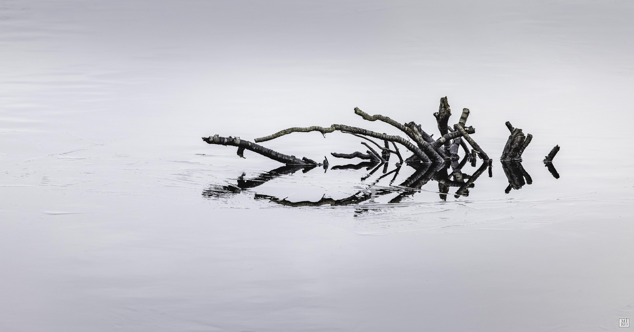 Skulptur der Natur