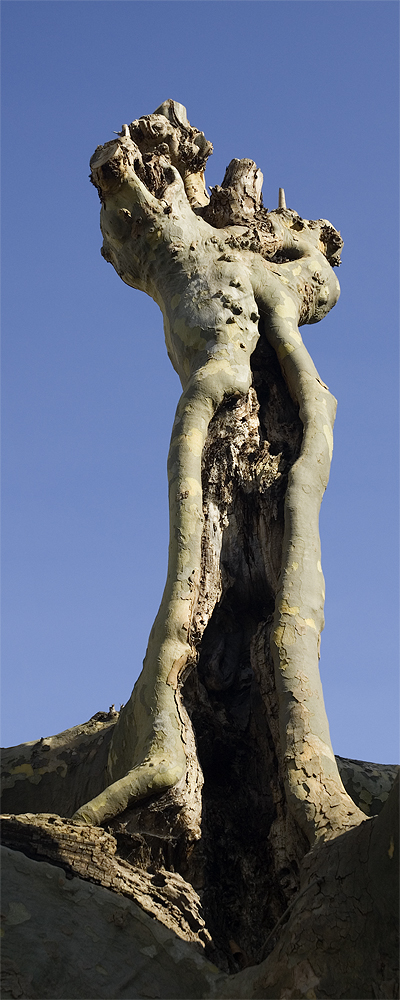 Skulptur der Natur