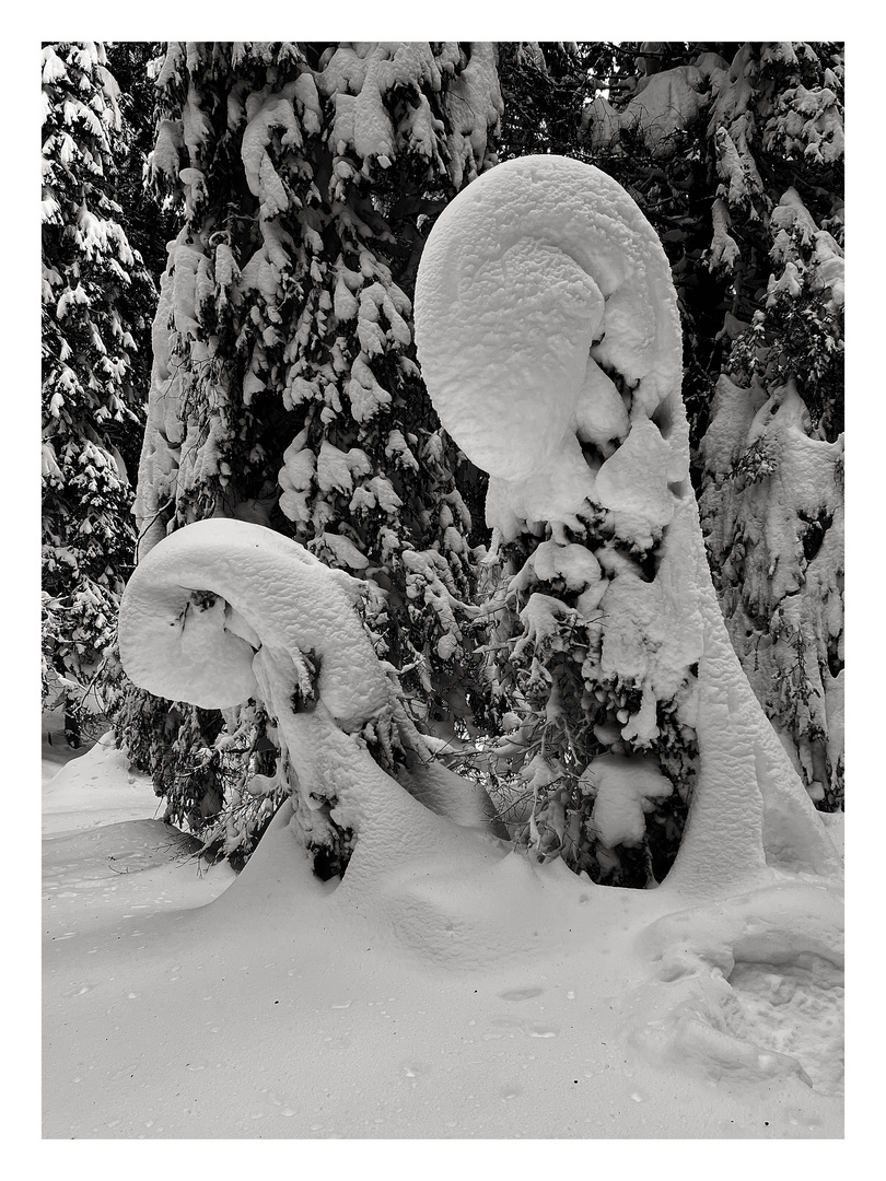 Skulptur der Natur