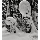 Skulptur der Natur