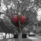 Skulptur im Binger Stadtpark