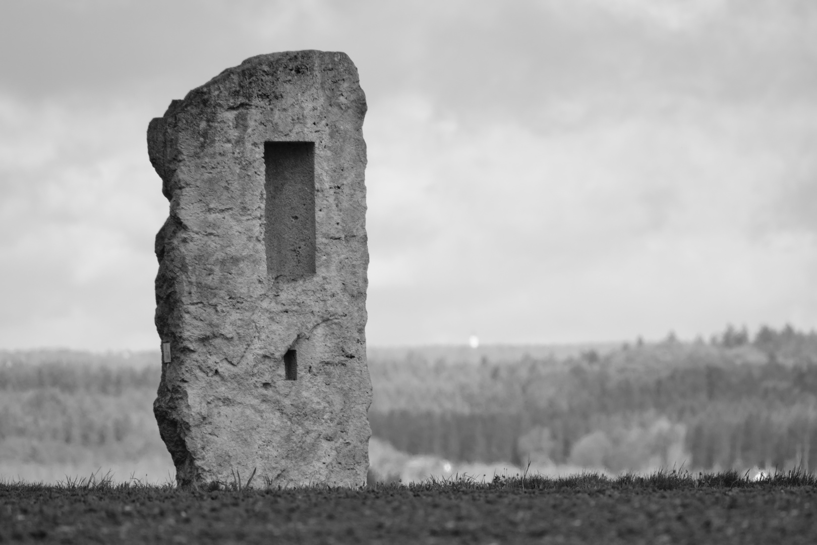 Skulptur im Feld