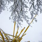 Skulptur im Schnee