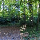 Skulptur im Wald - 3D Kreuzblick