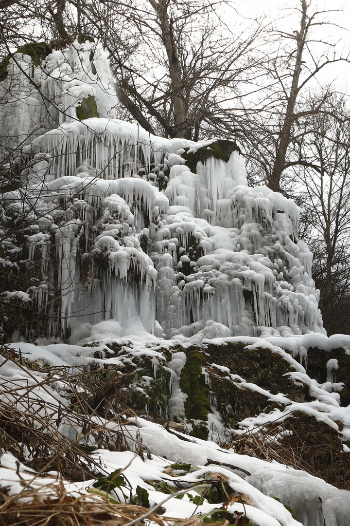 Skulptur im Wald