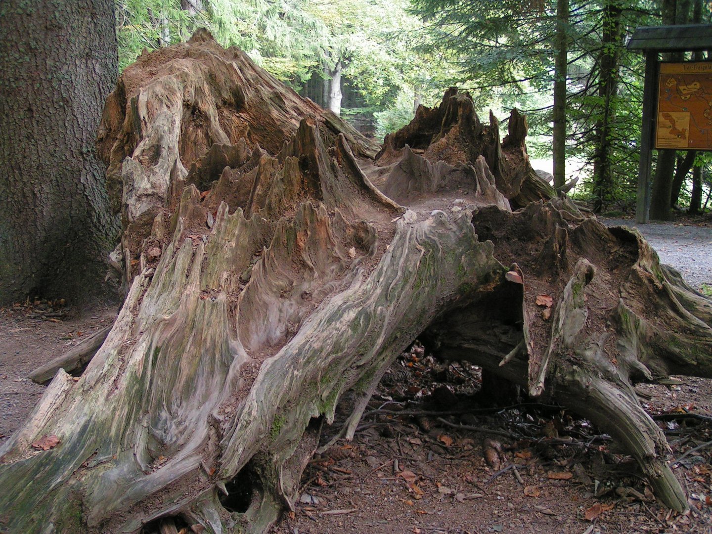 Skulptur im Wald