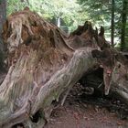 Skulptur im Wald