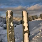 Skulptur im Winter