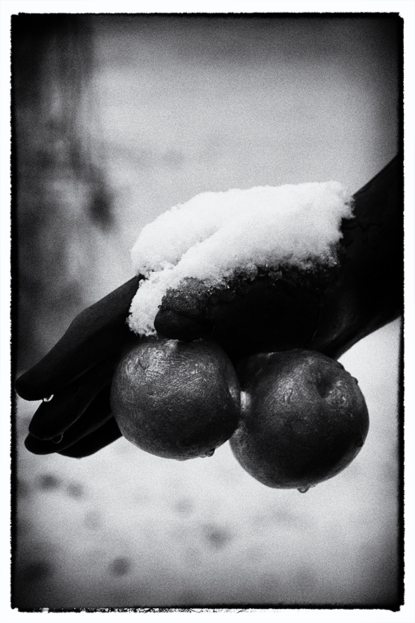 Skulptur im Winter Top