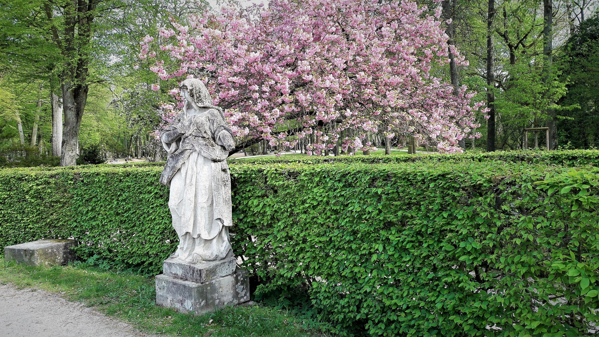 Skulptur unter Frühjahrsblüten :  Hofgarten Bayreuth