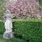 Skulptur unter Frühjahrsblüten :  Hofgarten Bayreuth
