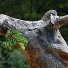 Skulpturen am Schlern/Rosengarten: König der Wälder