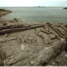 Skulpturen bei Rotheneuf, Nordbretagne