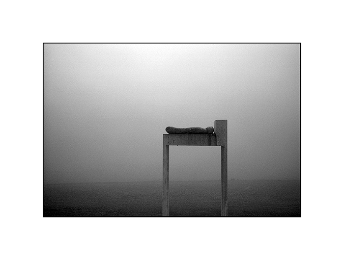 Skulpturen im Nebel 01