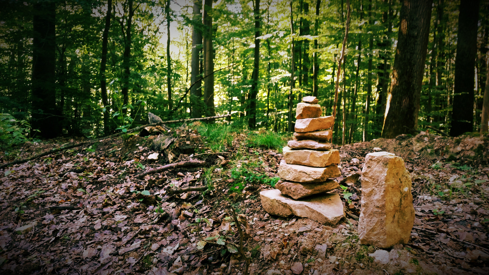 Skulpturen im Wald