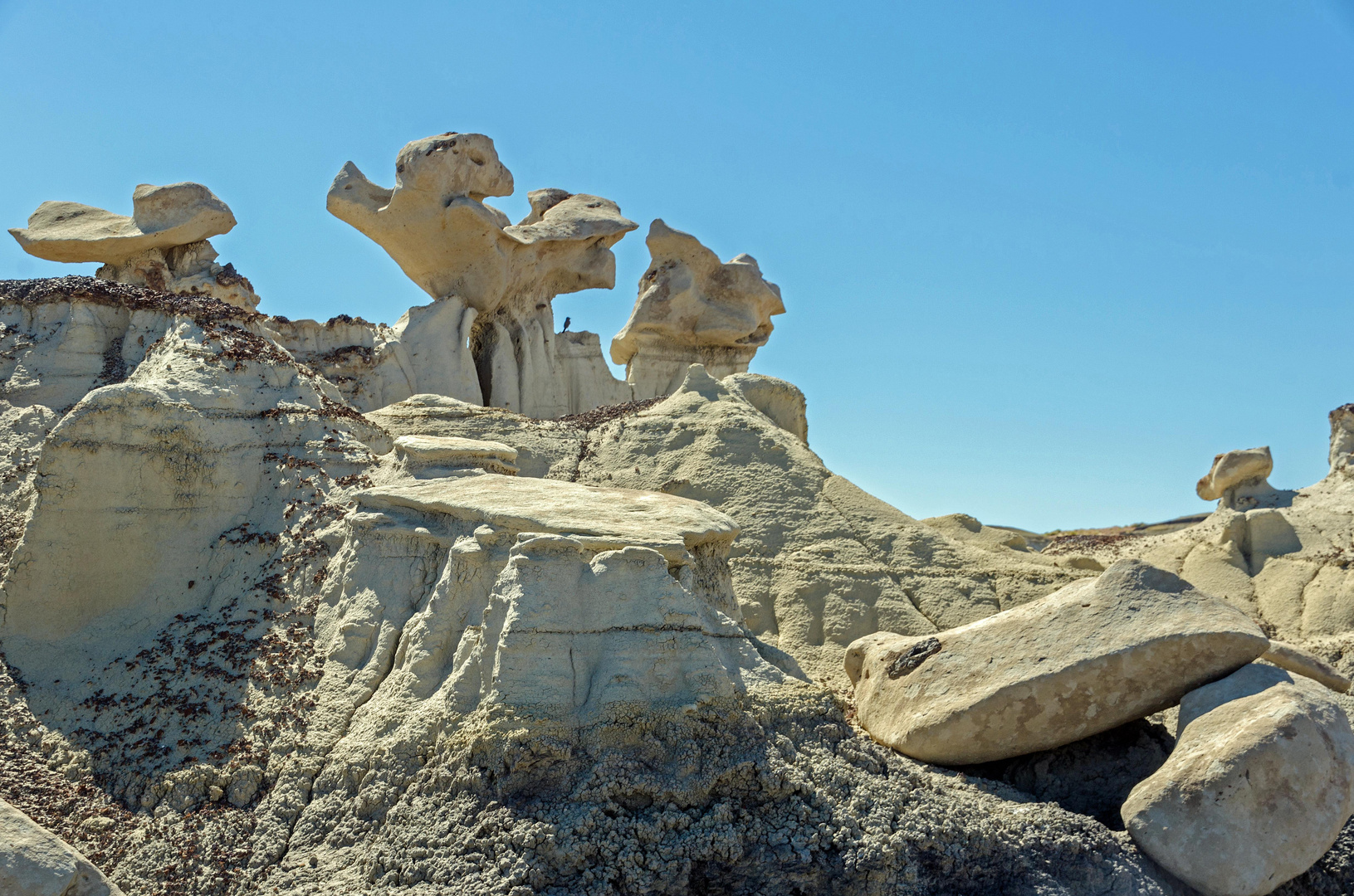 Skulpturen in den Bisti Badlands