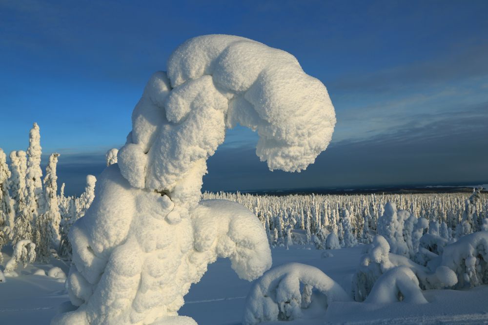 Skulpturen in Eis