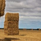 Skulpturen nach Ernte