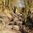 Skulpturen-Wald an der Halde Rheinelbe