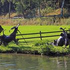 Skulpturenpark Klute - Waldemai in Niedersorpe bei Schmallenberg im Hochsauerland 34