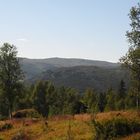 Skurdalen