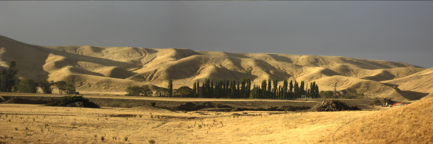 skurile Graslandschaft