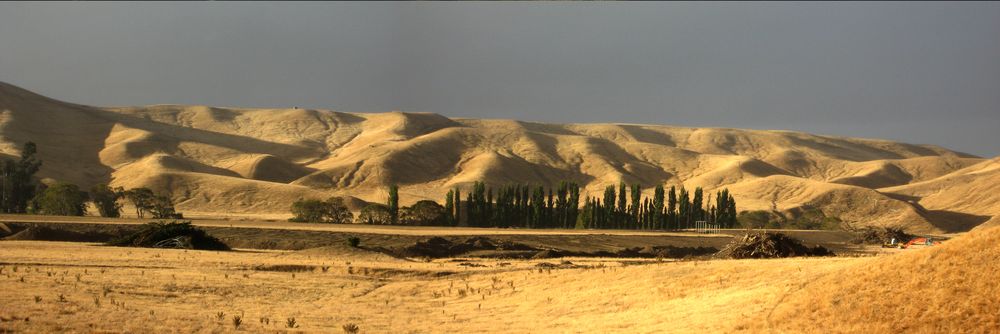 skurile Graslandschaft