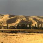 skurile Graslandschaft