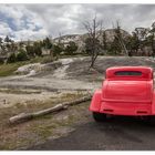 Skuriles im Yellowstone