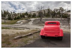 Skuriles im Yellowstone