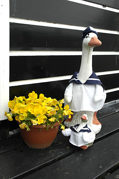 Skuriles vor einem Haus in Marken