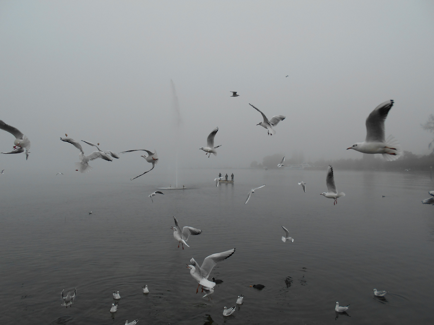 skurriler Morgen am Zuger See