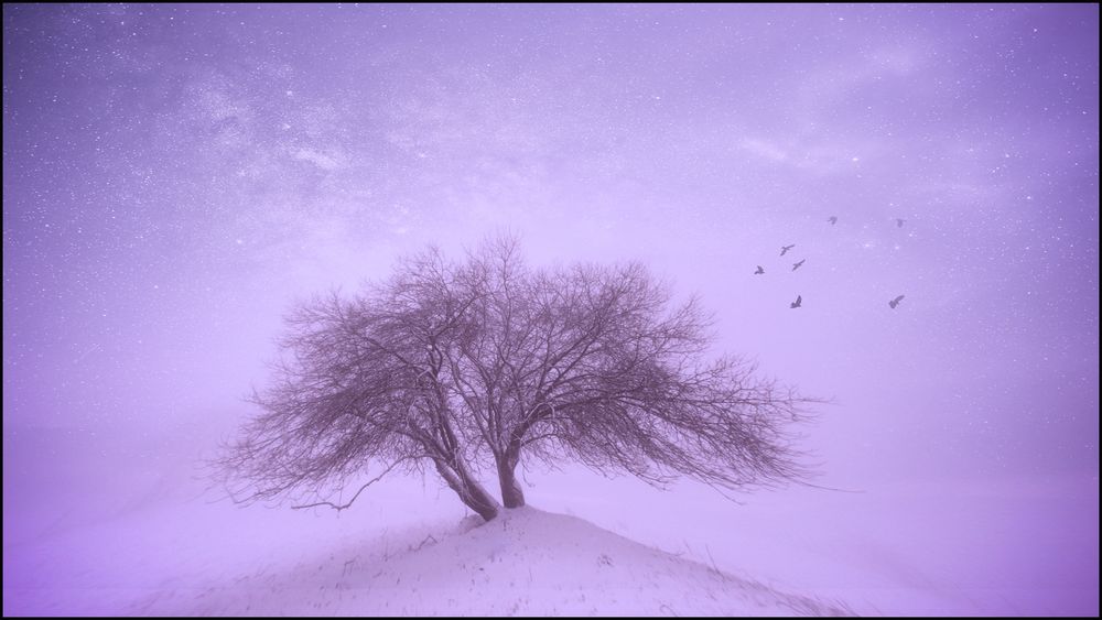 Sky.....