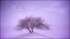 Sky.....