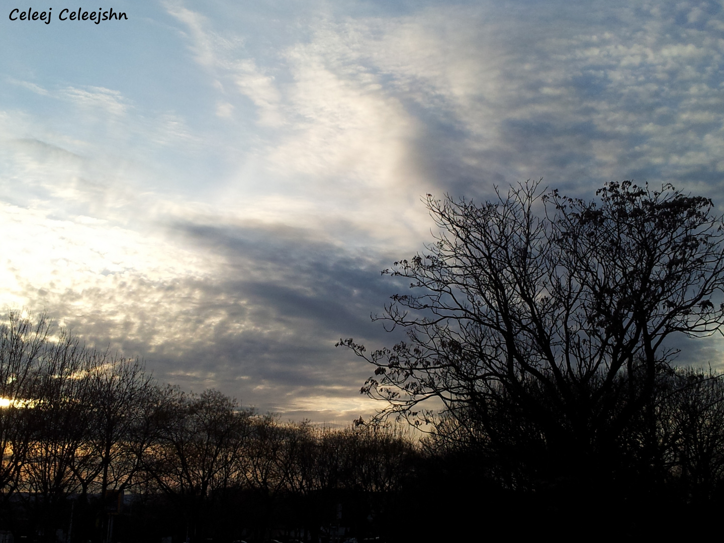 sky across the forest