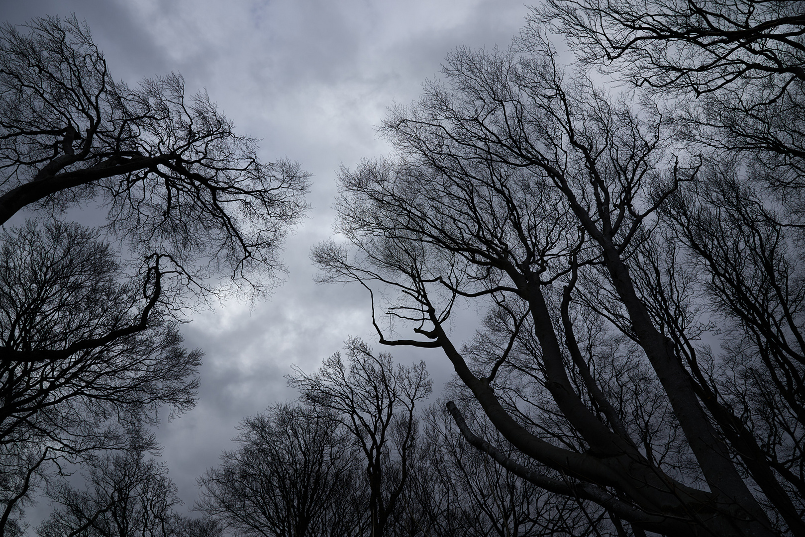 sky dancers