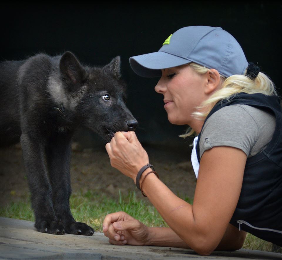 Sky, der kleine Wolf