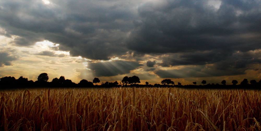 Sky in the evening 